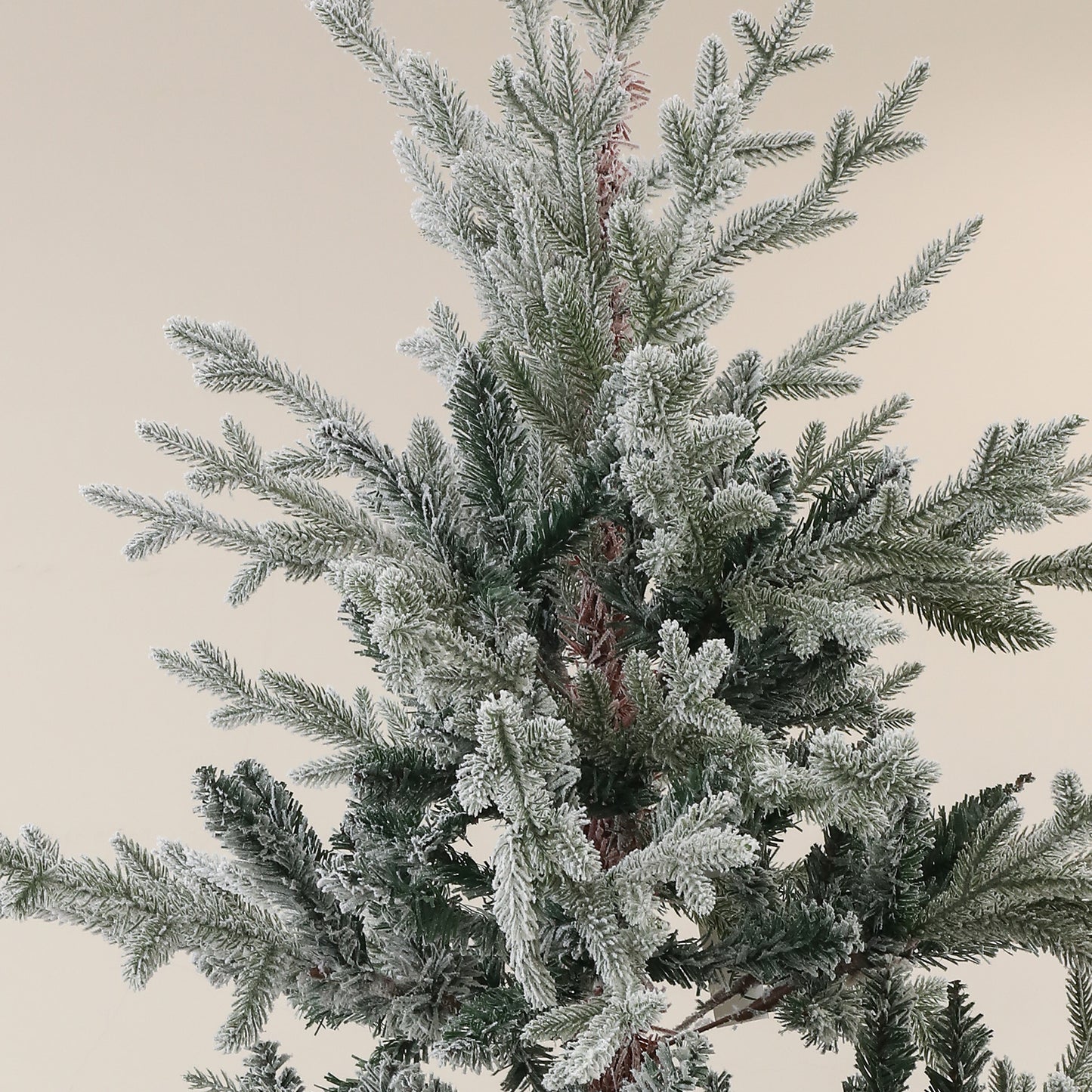 20183409