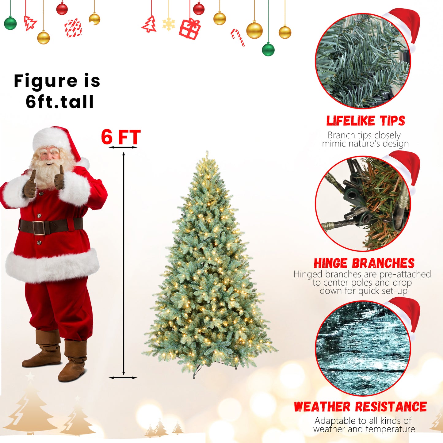 20182176