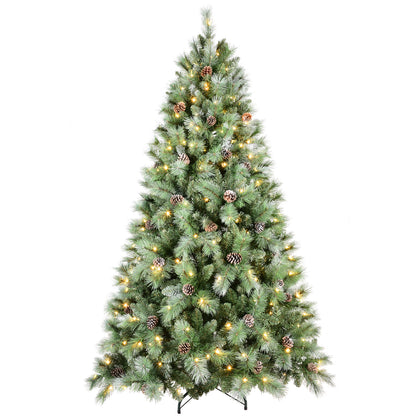 20182607